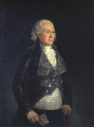 Francisco Goya Don pedro,duque de osuna France oil painting artist
